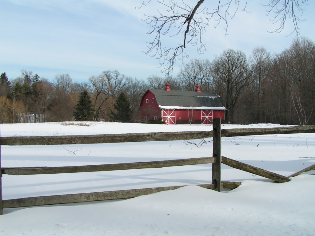 Barn
Typická červená stodola.
