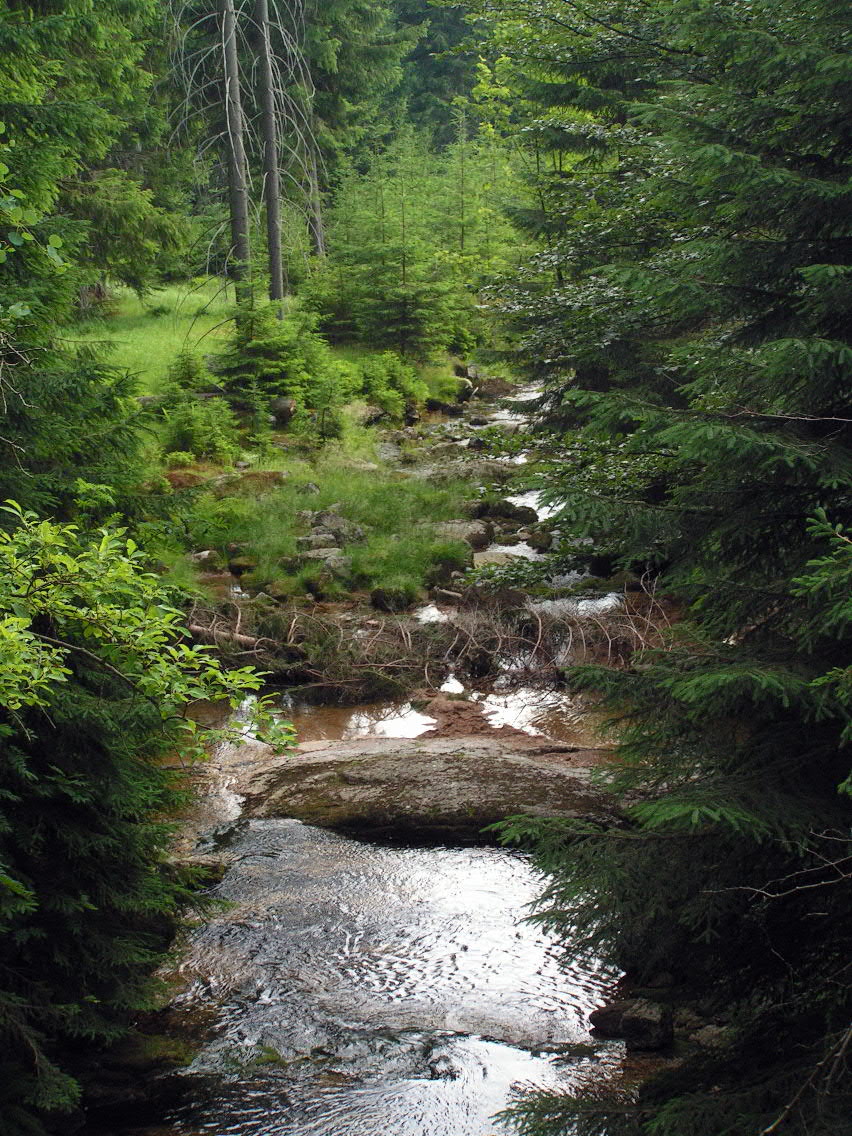 Velký Kamenický potok
