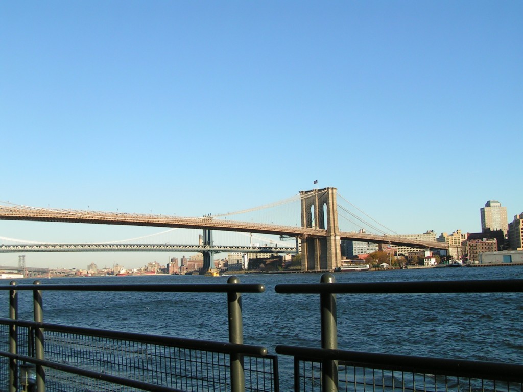 Brooklyn & Manhattan Bridges
