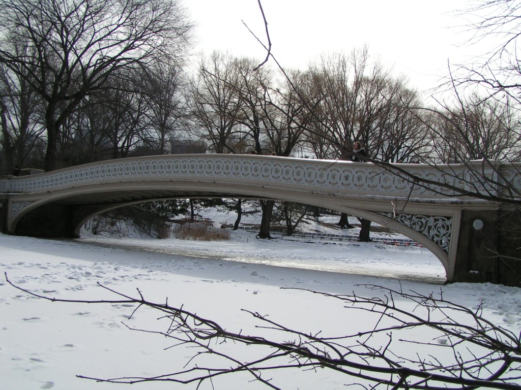 Central Park
