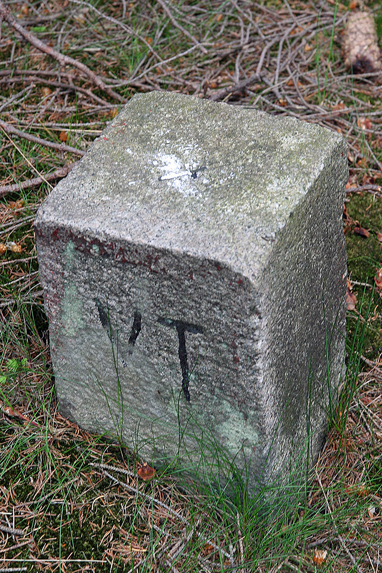 Geodetický bod z roku 1927 na vrcholu, "VT" znamená vojenská triangulace (thx goes to Vlčáák ;-)
