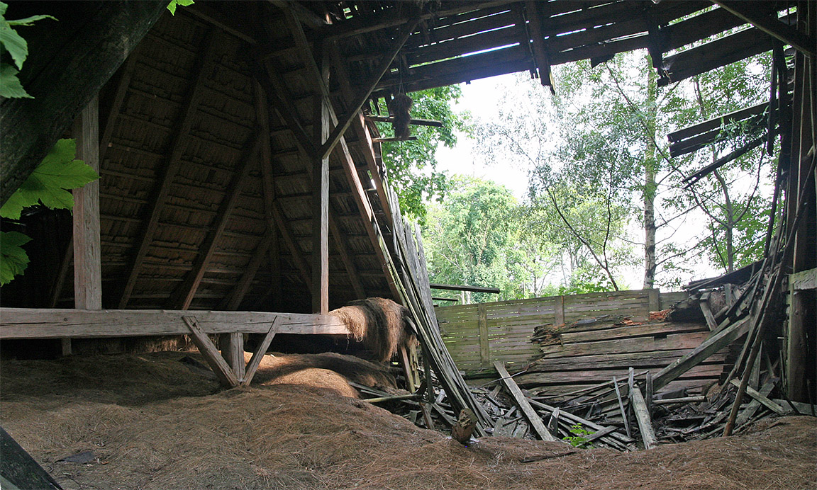 Uvnitř stodoly bylo ponecháno po posledním praktickém využití veliké množství sena, které se změnilo za léta v kompost.
