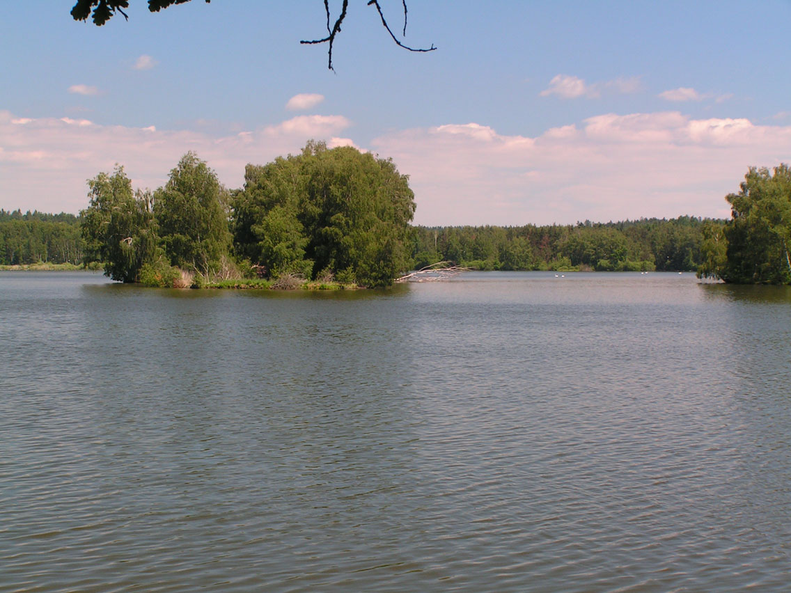 Staré jezero - patří spolu s následujícími do soustavy rybníků nad Novou řekou, nedaleko Lutové
