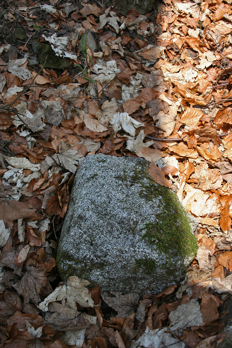 V okolí lze nalézt opracované kameny, evidentně pocházející ze stavby
