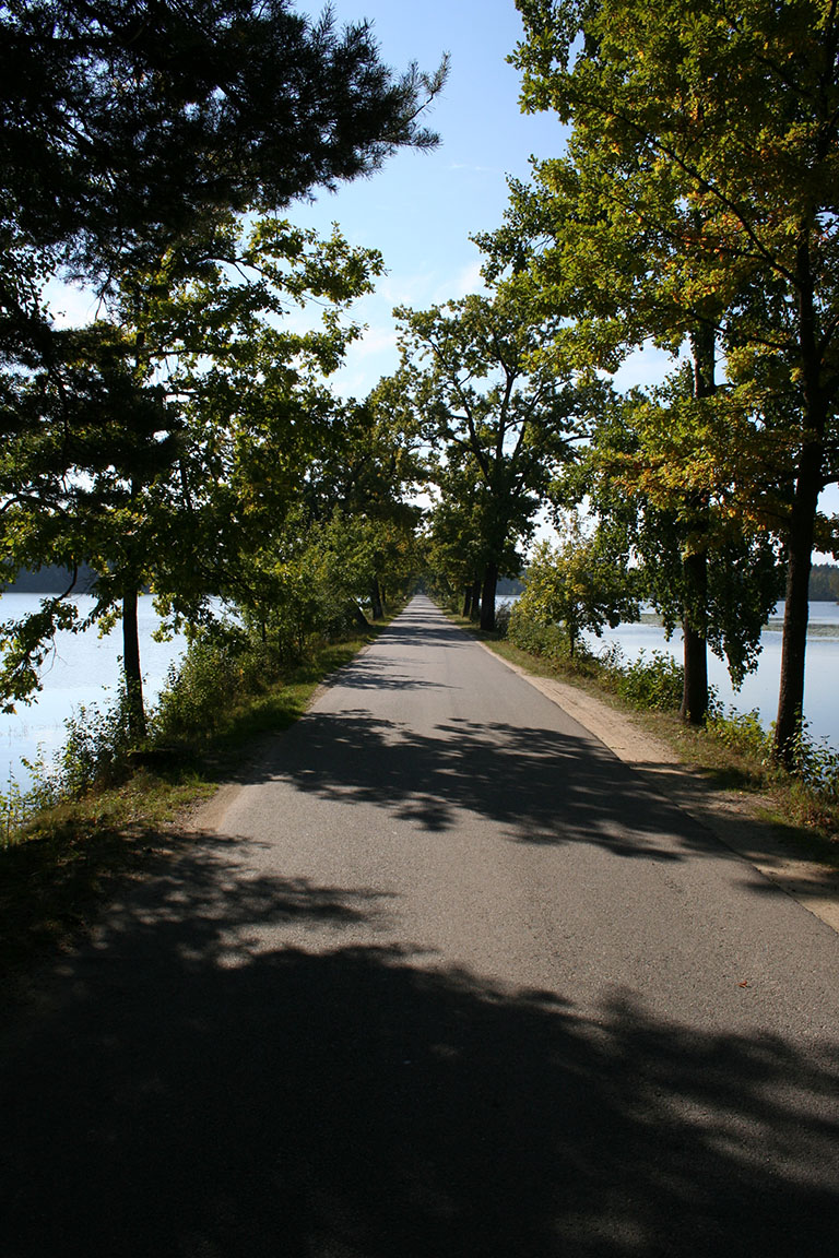 Silnice mezi rybníky Vyšehrad a Stolec
