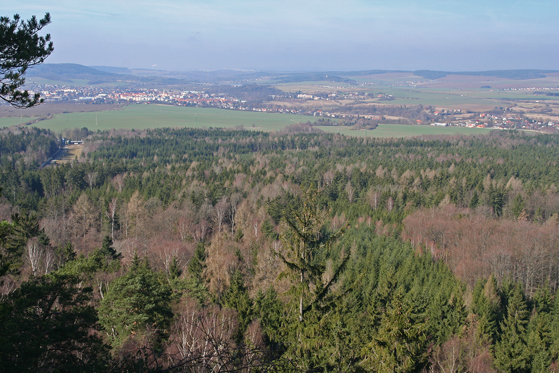 Pohled ze Žďáru: Rokycany a vpravo městská část Borek. Pruh vlevo v lese je  výcviková střelnice URNA.
