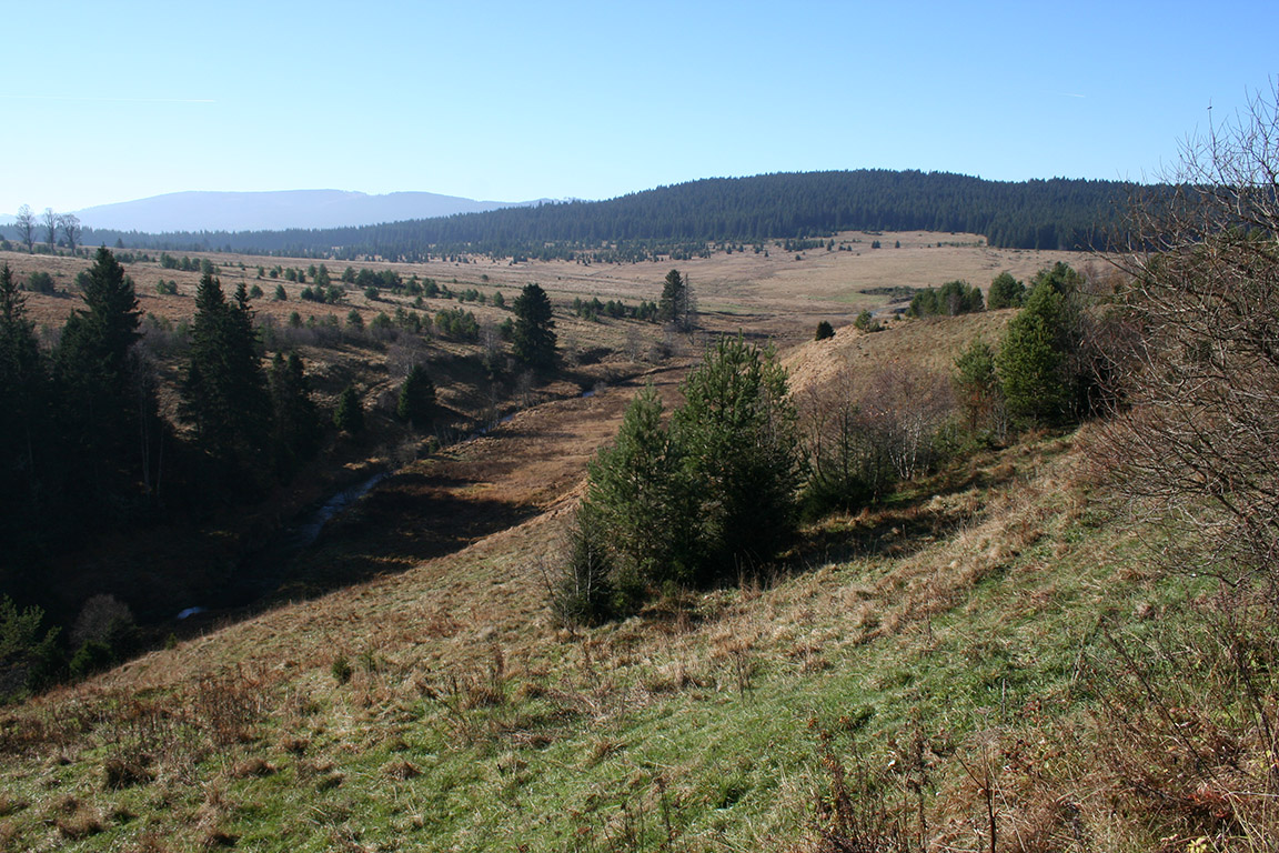 Údolí Křemelné, nedaleko zaniklé vesnice
