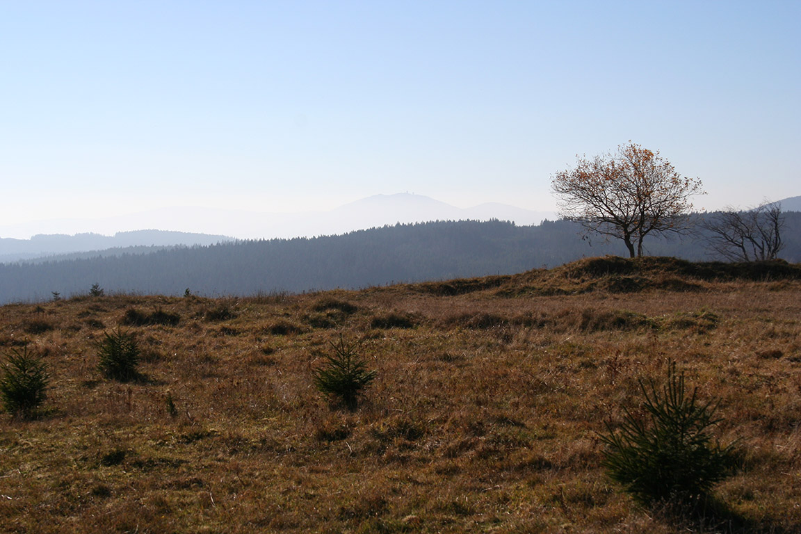 Pohled z temene Hadího vrchu, na obzoru Groser Arber
